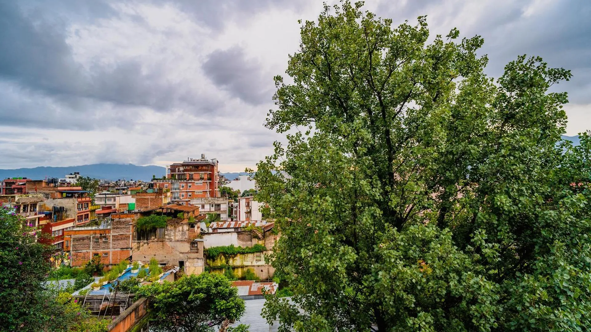 Rest Up Kathmandu Hostel